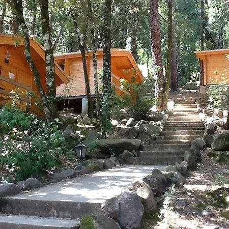 Auberge De La Foret Bonifatu เกเลนซานา ภายนอก รูปภาพ