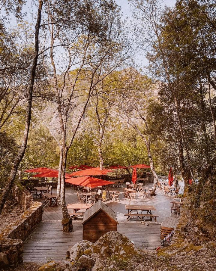 Auberge De La Foret Bonifatu เกเลนซานา ภายนอก รูปภาพ