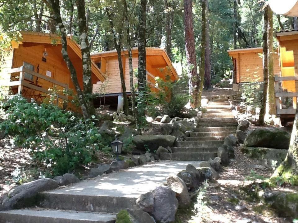 Auberge De La Foret Bonifatu เกเลนซานา ภายนอก รูปภาพ